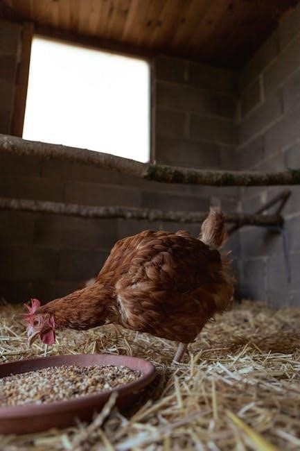 layer chicken feeding guide pdf layer chicken feeding guide pdf