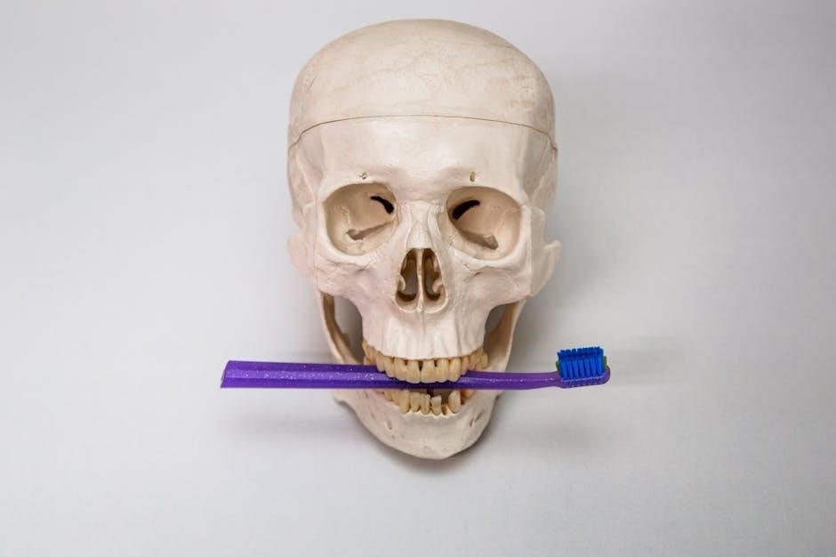 denture teeth shape guide denture teeth shape guide