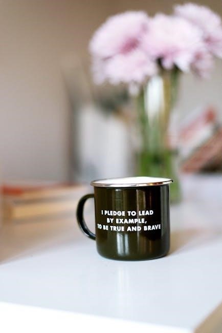 instructional framework examples