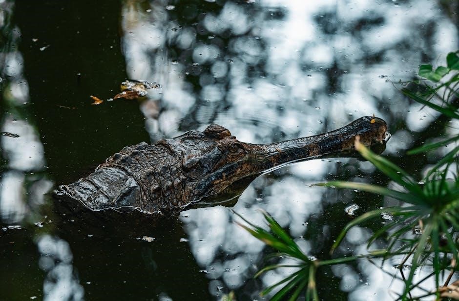 immediate life support manual free download